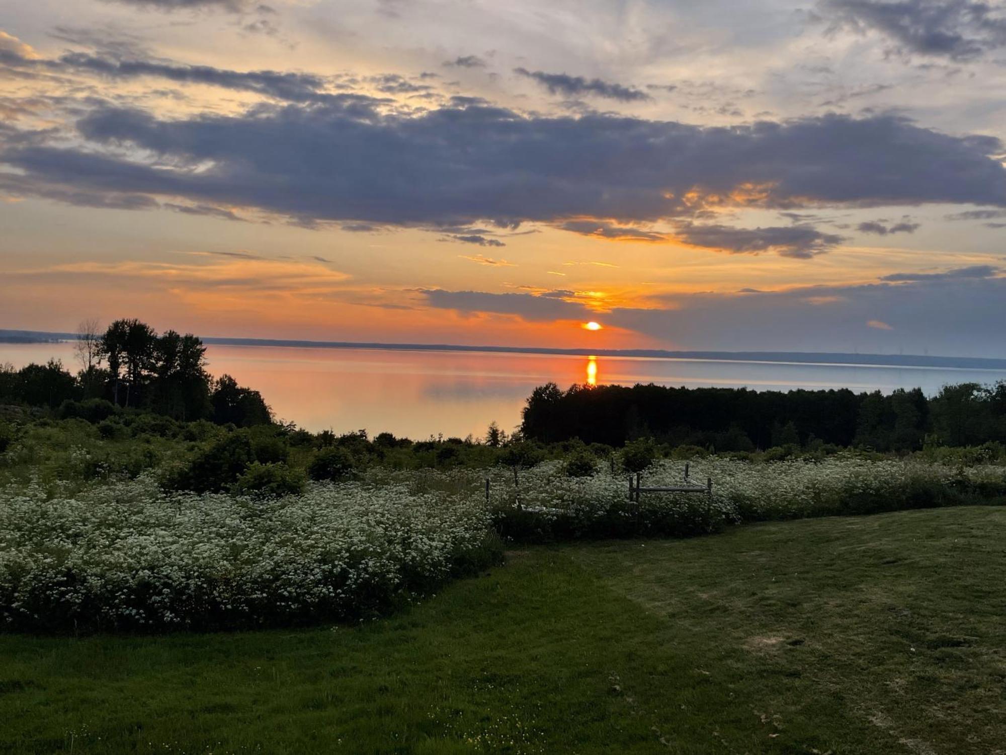 Kungsbacken I Tived Daire Dış mekan fotoğraf